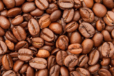 Similar image 1464776