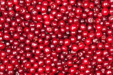 Similar image 1464779