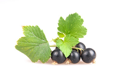 Similar image 1464780