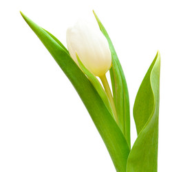 Similar image 1464783