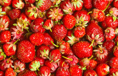 Similar image 1464785