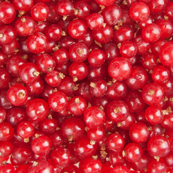 Similar image 1464786