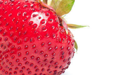 Similar image 1464787