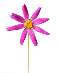 Similar image 1464789