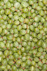 Similar image 1464792