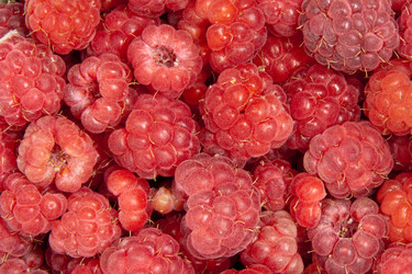 Similar image 1464793