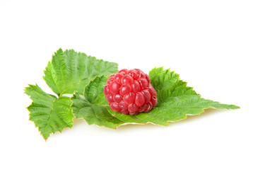 Similar image 1464795