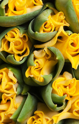 Similar image 1464797