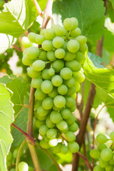 Similar image 1464799