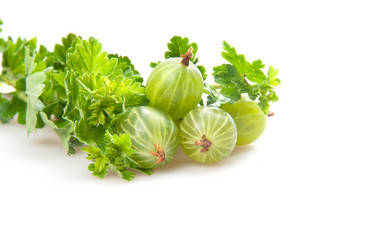 Similar image 1464804