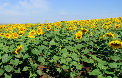 Similar image 1464808