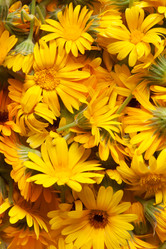 Similar image 1464809