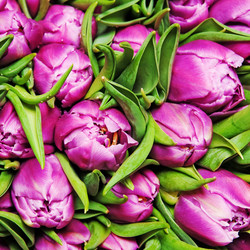 Similar image 1464811