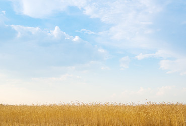 Similar image 1464815