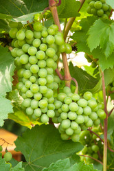 Similar image 1464818