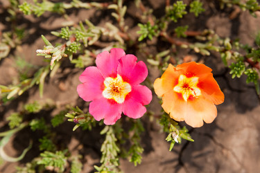 Similar image 1464819