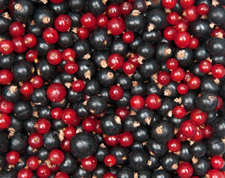 Similar image 1464821