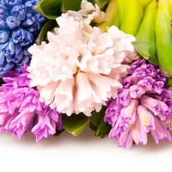 Similar image 1464826