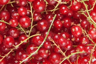 Similar image 1464829