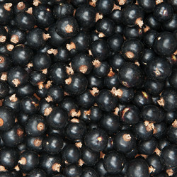 Similar image 1464830