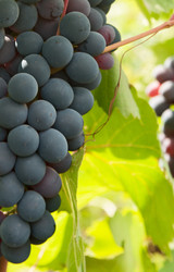 Similar image 1464835