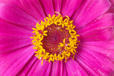 Similar image 1464843