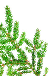 Similar image 1464844