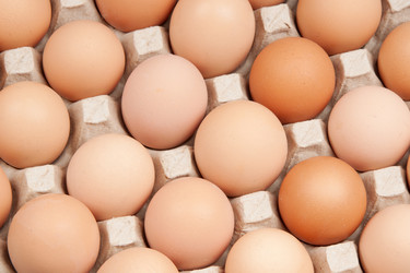 Similar image 1464845