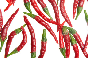 Similar image 1464851