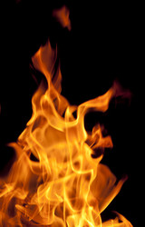 Similar image 1464869