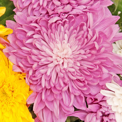 Similar image 1464871