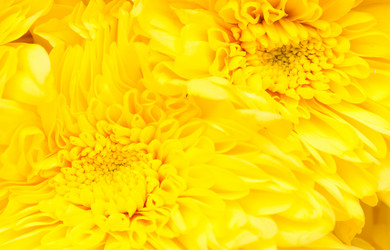 Similar image 1464872