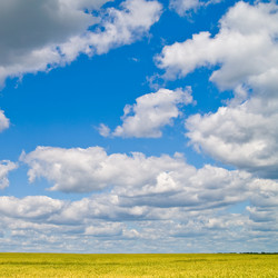 Similar image 1464876