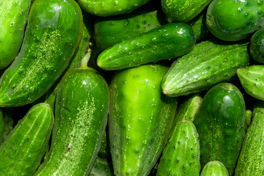 Similar image 1464883