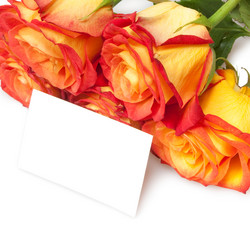 Similar image 1464886