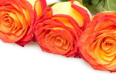 Similar image 1464895