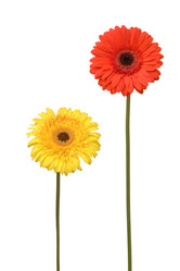 Similar image 1464902