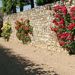 Similar image 1464908