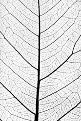 Similar image 1464940