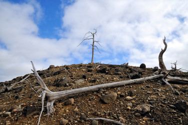 Similar image 1465096