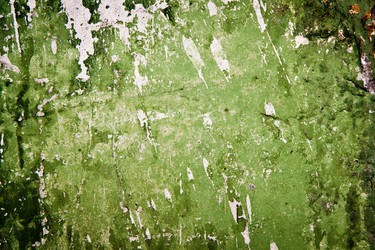 Similar image 1465141