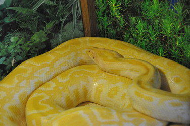 Similar image 1465143