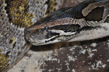 Similar image 1465144