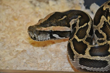 Similar image 1465145