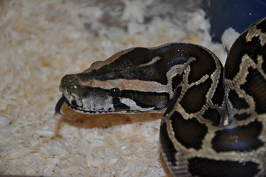 Similar image 1465146