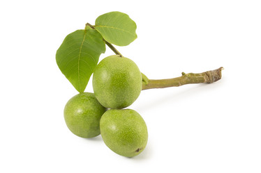 Similar image 1465152