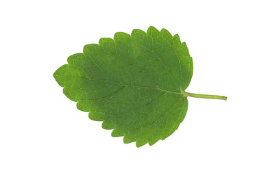 Similar image 1465169