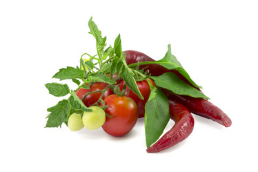 Similar image 1465170