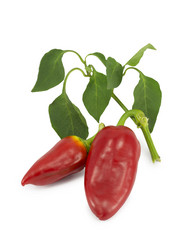 Similar image 1465171