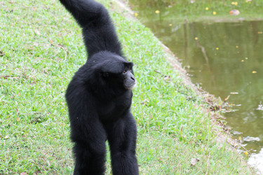 Similar image 1465186